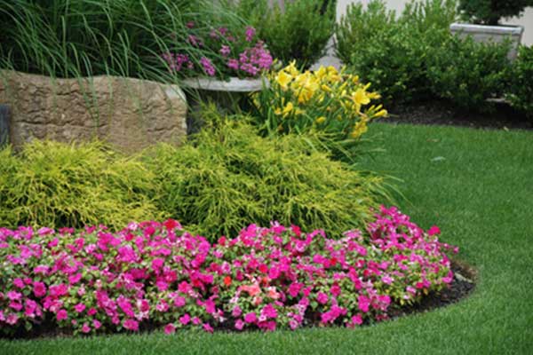 gardening services - garden maintenance