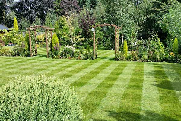Grass Cutting gardening services